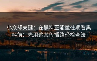 小众却关键：在黑料正能量往期看黑料前：先用这套传播路径检查法