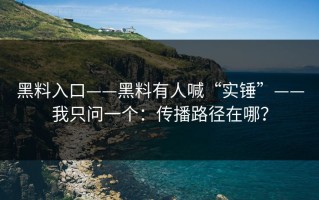 黑料入口——黑料有人喊“实锤”——我只问一个：传播路径在哪？
