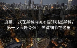 凌晨： 我在黑料网app看到明星黑料，第一反应是夸张： 关键细节在这里