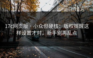17c网页版 · 小众但硬核：版权提醒这样设置才对，新手别再乱点