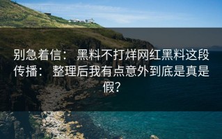 别急着信： 黑料不打烊网红黑料这段传播： 整理后我有点意外到底是真是假？