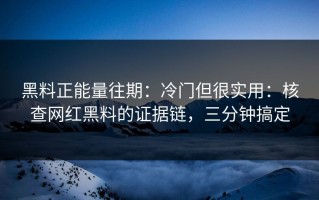 黑料正能量往期：冷门但很实用：核查网红黑料的证据链，三分钟搞定