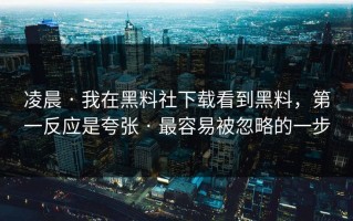 凌晨 · 我在黑料社下载看到黑料，第一反应是夸张 · 最容易被忽略的一步