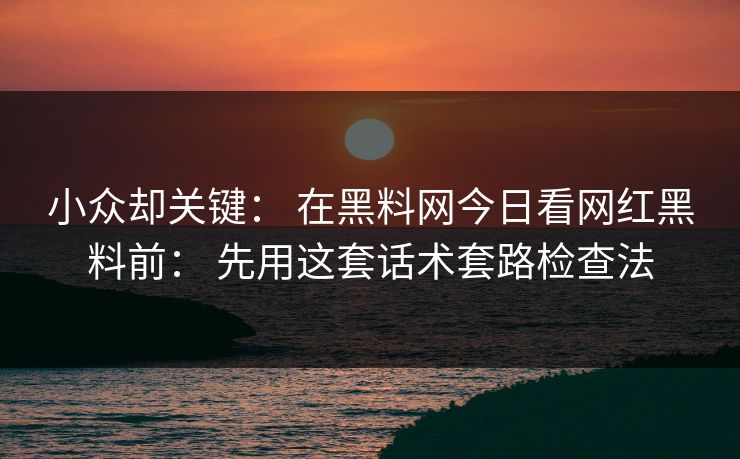 小众却关键： 在黑料网今日看网红黑料前： 先用这套话术套路检查法-第1张图片-17c官网 - 无码高清每日更新