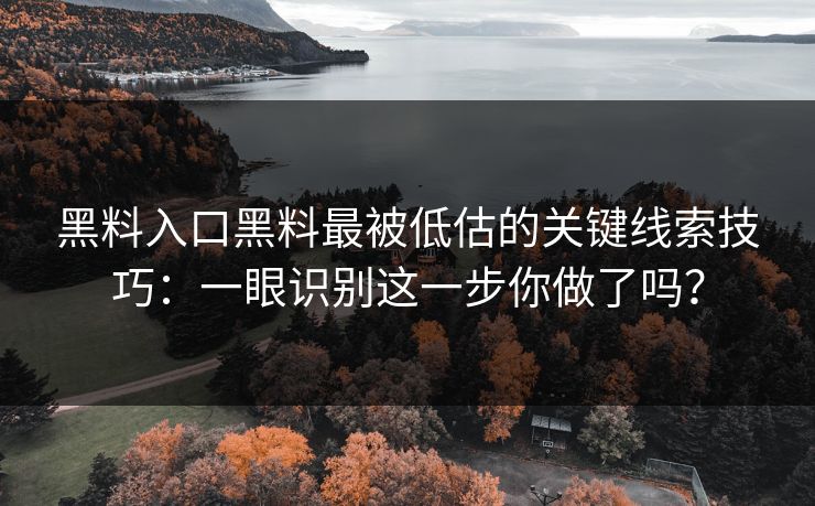 黑料入口黑料最被低估的关键线索技巧：一眼识别这一步你做了吗？-第1张图片-17c官网 - 无码高清每日更新